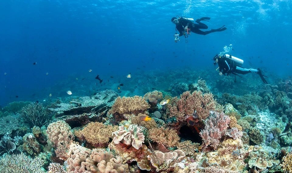 wakatobi, tempat liburan keluarga dan anak